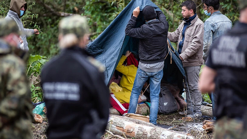 Afghanische Flüchtlinge bauen Zelte an der Grenze zwischen Polen und Belarus. Polens Opposition hat die Regierung zur sofortigen Hilfe für die festsitzende Gruppe aufgefordert. Es sei eine «skandalöse Situation», sagte der Abgeordnete Maciej Konieczny…