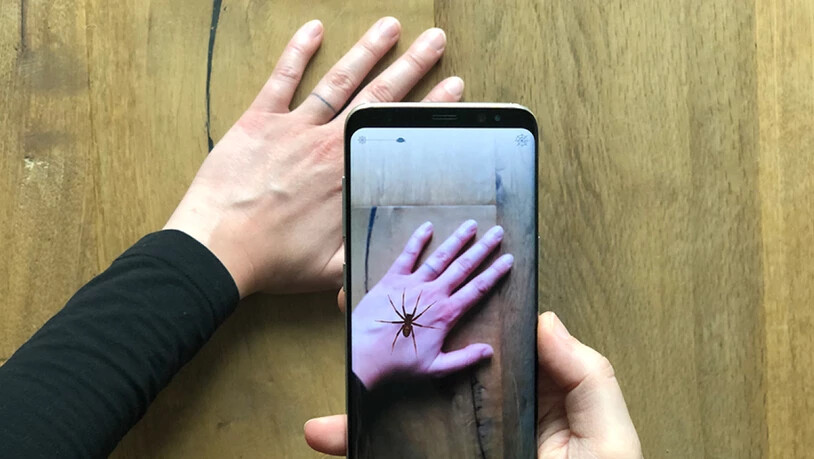 Eine virtuelle Spinne auf der Hand: Diese auf einer Augmented Reality basierende App soll die Hürden für eine Expositionstherapie gegen Spinnenangst senken. (Pressebild)