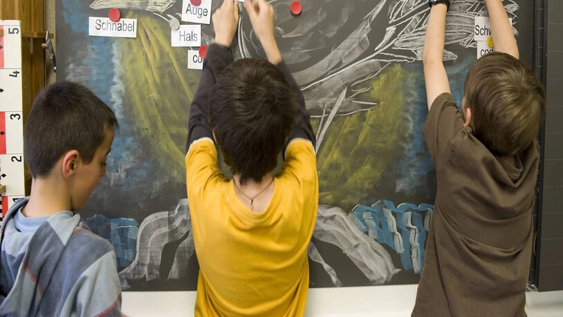 In der Schule gehört Italienisch nur in sehr wenigen Kantonen zu den obligatorischen Schulfächern.