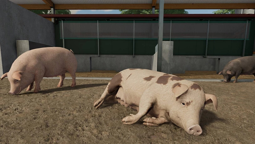 Es müssen nicht immer die eigenen Felder bearbeitet werden, man darf auch Jobs von anderen Farmern annehmen, was alles sehr abwechslungsreich macht. 