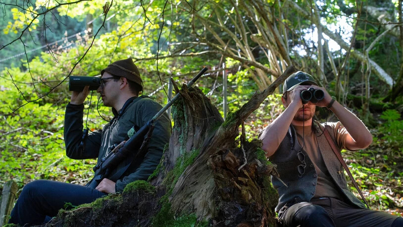 Die Fachkommission fordert den Staat dazu auf, sich zu überlegen, wie mit den psychischen Folgen der Wolfsbedrohung umgegangen werden soll. 
