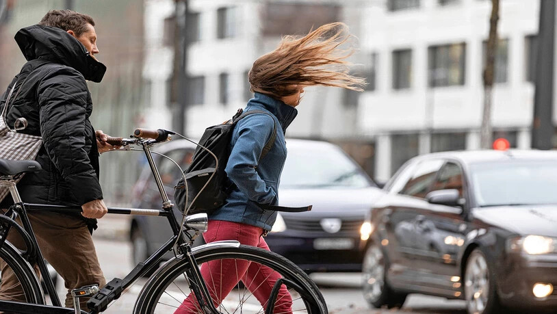Sturmfrisur: Nicht immer richtet ein Tief mit Orkanstärke grössere Schäden an.