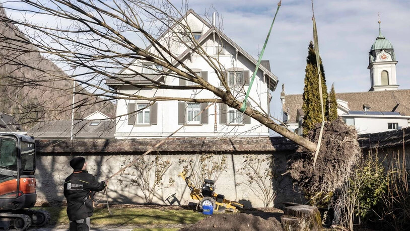 Über die Gartenmauer...