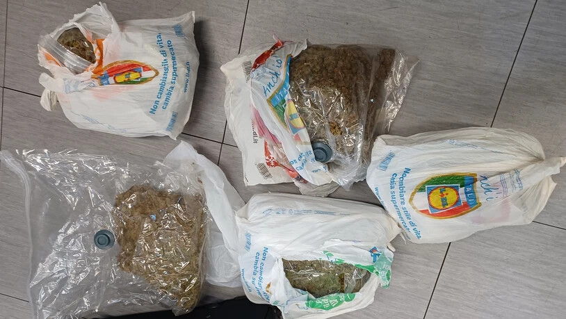 Drogenfund: Während einer Kontrollaktion findet eine Drogenhündin fünf Kilogramm Marihuana in einem Koffer versteckt.