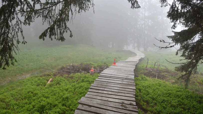 An dieser Stelle verunfallte der Mountainbiker.
