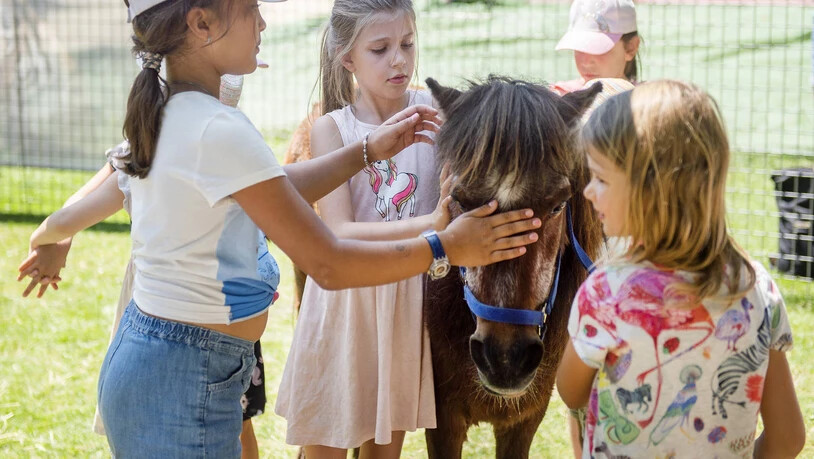 Auf Tuchfühlung: Kinder konnten unter anderem ein Pony streicheln.