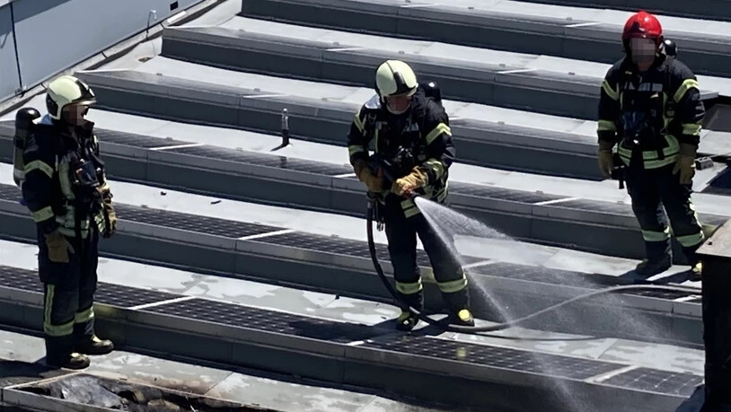 Im Einsatz: Die Feuerwehr rückte mit 25 Leuten aus, die den Brand rasch unter Kontrolle bringen konnten.