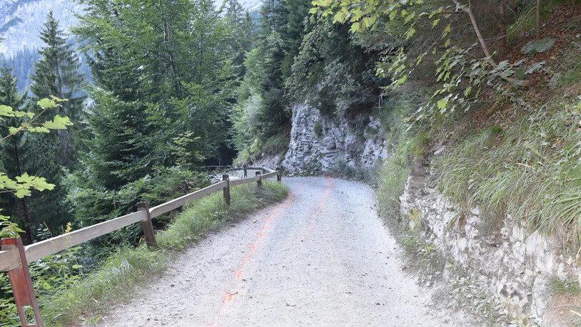 Tödlicher Unfall: Ein Lenker verliert die Herrschaft über seinen Quad und kollidiert mit einer Felswand. Seine 84-jährige Mitfahrerin stirbt.