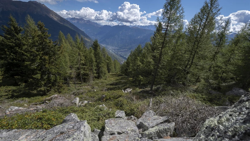 Auf Grenzgebiet: Der Jäger war bei Lughina unterwegs.