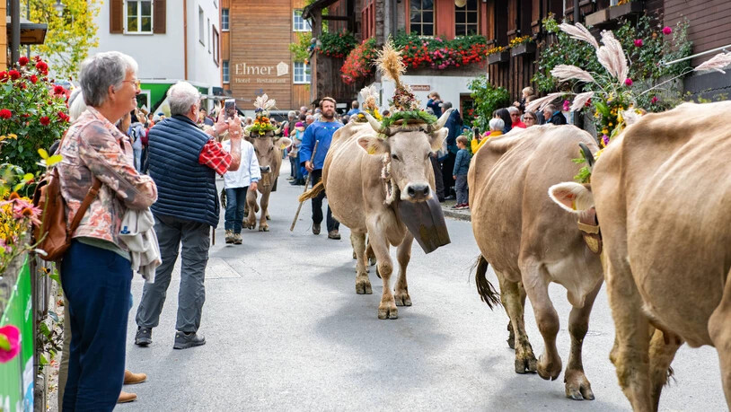 Tradition: Der Alpabzug ist bunt und laut.