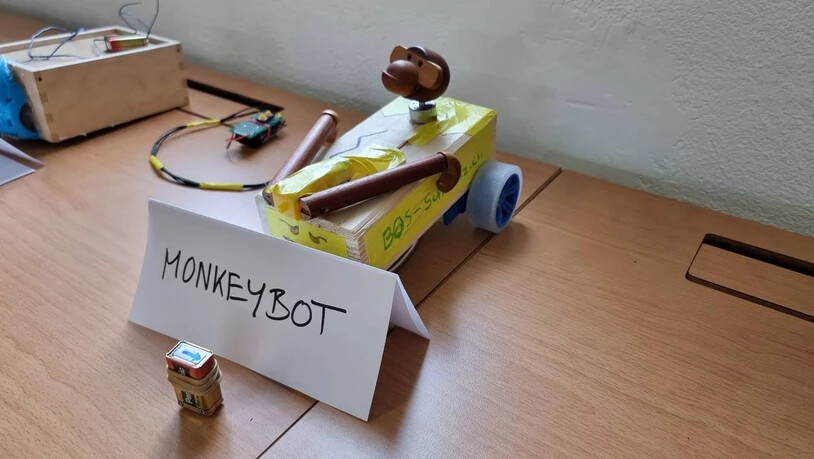 Der «Monkeybot» greift die Gegner mit seinen beweglichen Armen an.