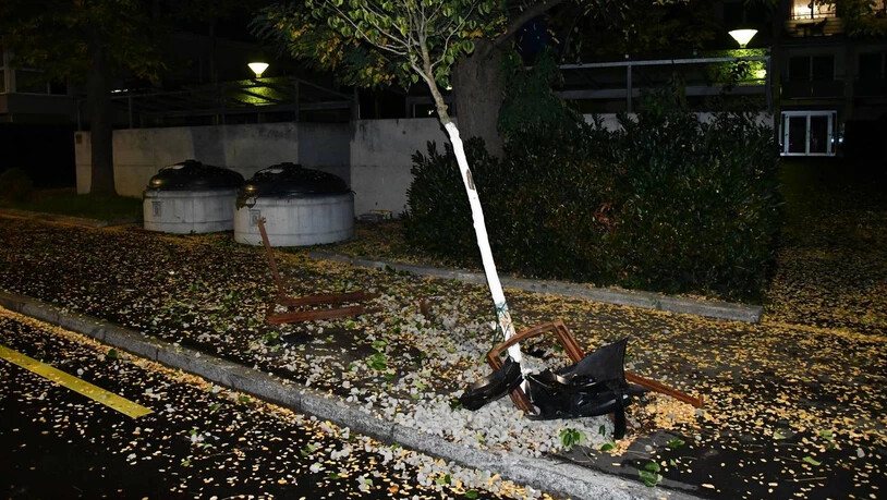 Zusammenstoss: Ein Autofahrer gerät an der Wiesentalstrasse mit seinem Auto zu weit nach rechts und kollidiert mit einem Baum.