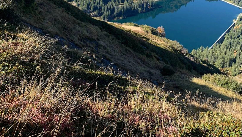Oberhalb von Mettmen gelang ihr dieses Bild.