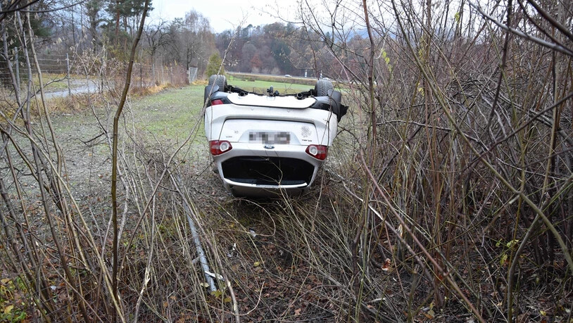 Auf dem Dach gelandet: Der alkoholisierte Fahrer überschlug sich mit seinem Auto und landete im Gebüsch.
