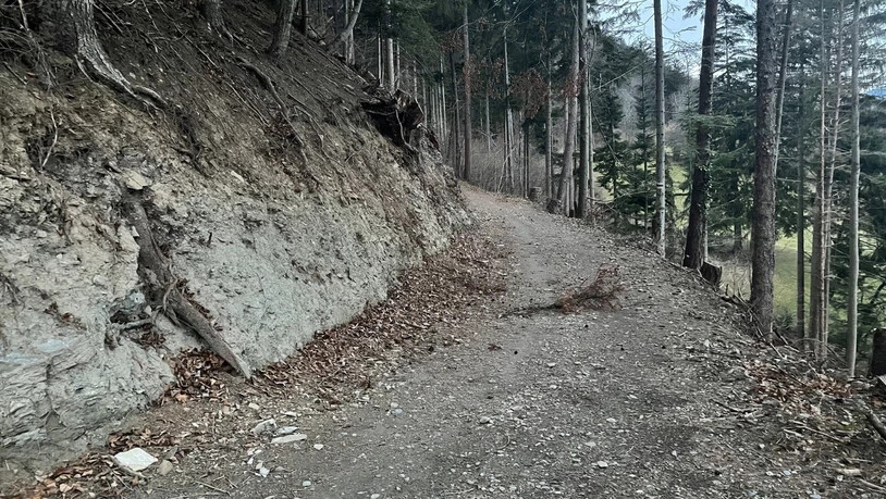 Missglückte Wanderung: Auf diesem Waldweg in Chur wurde ein mittelschwer Verletzter gefunden. Der 76-Jährige musste mit der Rega ins Kantonsspital Graubünden geflogen werden.