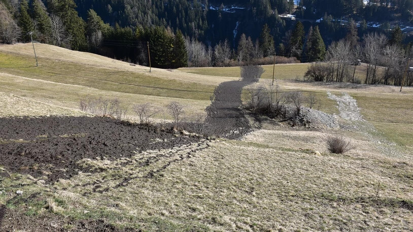Über mehrere Wiesen und Hügel hinweg: In einem Gutsbetrieb in Schmitten ist Gülle ausgelaufen und in den Landwasser-Fluss gelangt. Ob Fische zu Schaden gekommen sind, ist derzeit noch unklar.