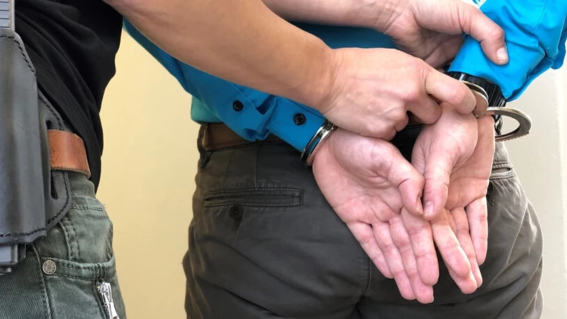 Festgenommen: Die Kantonspolizei konnte die Vermögensdelikte den Männern nachweisen.