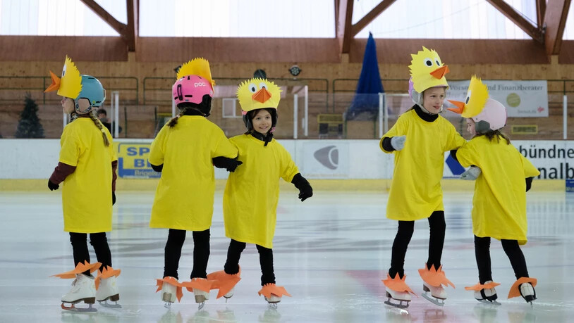Geschlüpft: Küken auf dem Eis. 