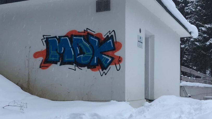 Sachbeschädigung: Die Täter sprayten an diversen Gebäudemauern farbige Schriftzüge auf. 