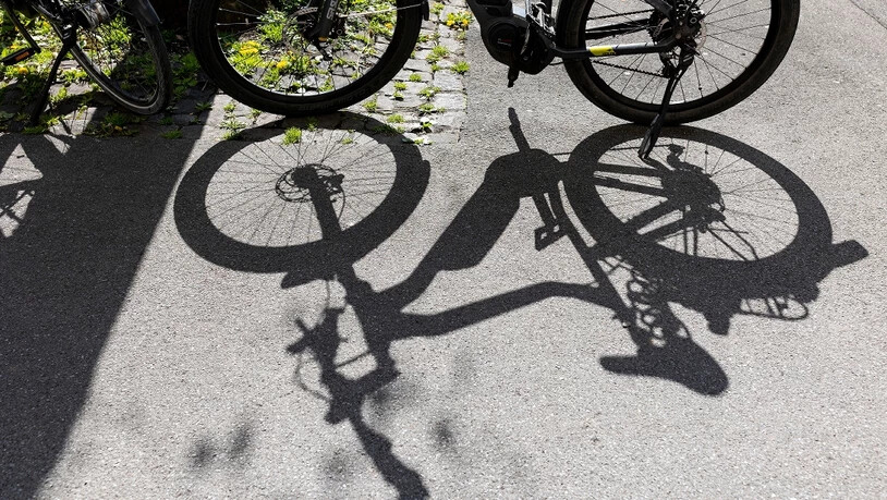 Schatten haben für Subramaniam auch etwas poetisches.