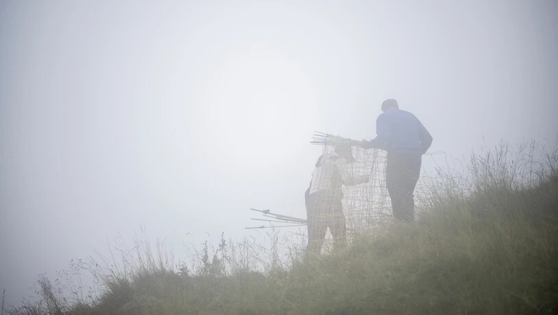 Zwischen Freude und Überforderung: Die überwiegende Mehrheit der Älpler und Landwirtinnen lieben ihren Beruf – die Arbeit belastet sie aber auch.
