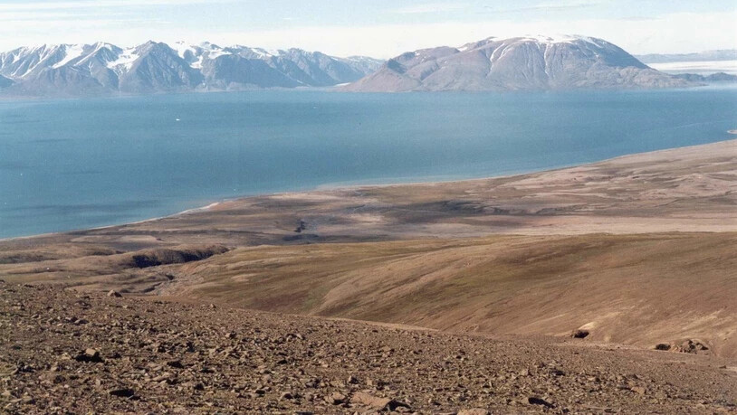 Blick von der Clavering-Insel Richtung Festland.