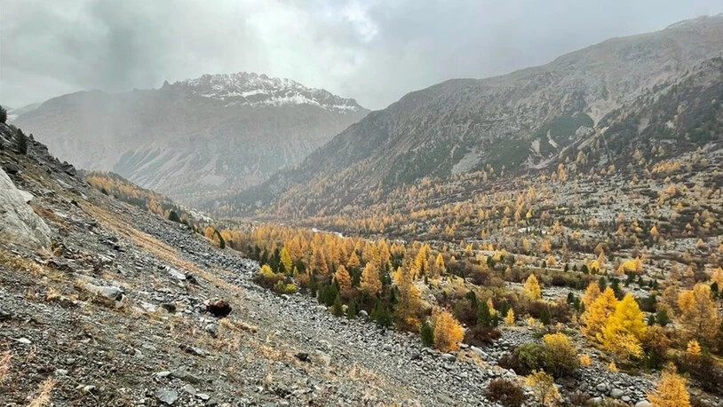 Fundort: In diesem Gebiet bei Pontresina wurden die sterblichen Überreste des Jägers gefunden.
