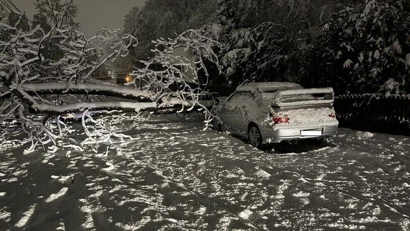 Unfall auf der Malixerstrasse: Der Autofahrer blieb bei der Kollision mit dem Baum unverletzt. 