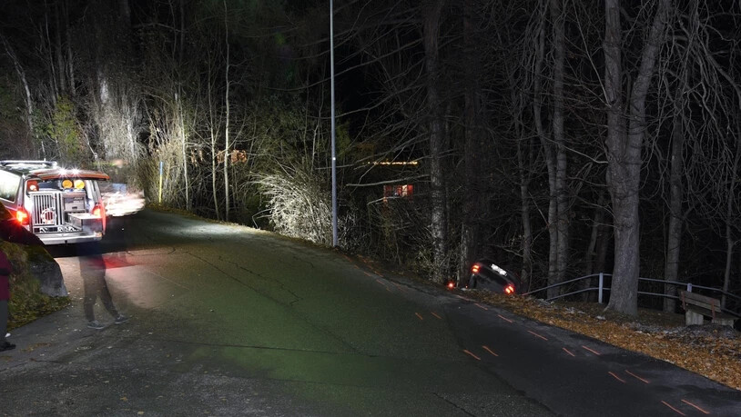 Fahrer unverletzt: Das Auto überschlug sich und blieb auf dem Dach an einem Baum stehen.