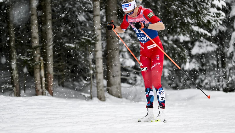 Durch Schnee und Wald: Die Norwegerin Astrid Oeyre Slind gibt auf der Loipe Gas. 