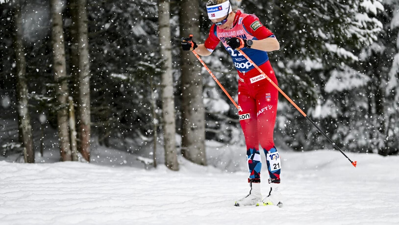 Durch Schnee und Wald: Die Norwegerin Astrid Oeyre Slind gibt auf der Loipe Gas. 