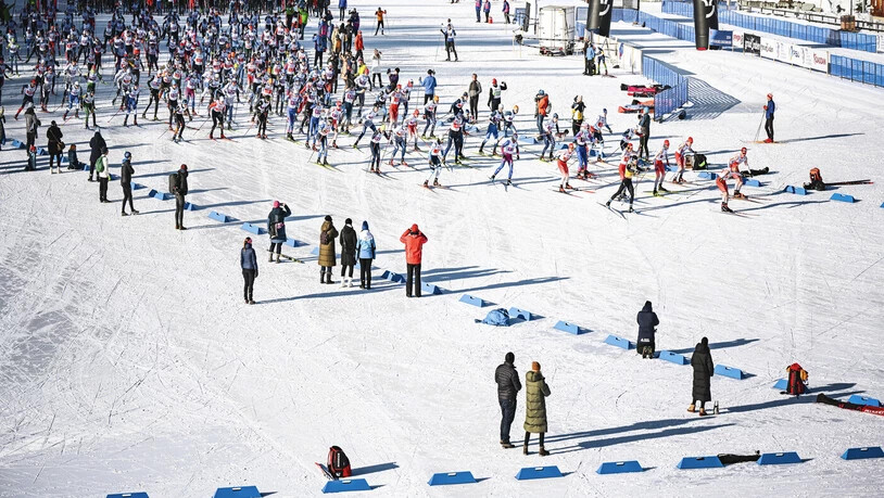 Grosses Interesse: Rund 730 Teilnehmende sind beim Planoiras in allen Events dabei. 