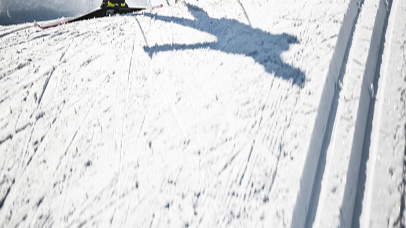 Von jung bis alt: Der Planoiras gehört zu den grössten Volksläufen der Schweiz. 