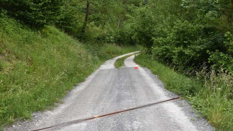 Der Velofahrer stürzte auf dem Feldweg beim Absteigen vom Velo unglücklich in eine Böschung und zog sich tödliche Verletzungen zu.
