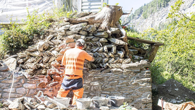 Kunstvoll: Erfahrene Maurer sind dabei, die Mauern mit einem speziellen Mörtel zu sichern. Auf dem Bild ist ebenfalls zu sehen, wie stark Wurzeln ins Gemäuer eindringen können.