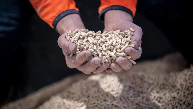 Das ist Bündner Wärme: Resurses Pellets sind die CO₂-neutrale Energiequelle aus der Region.
