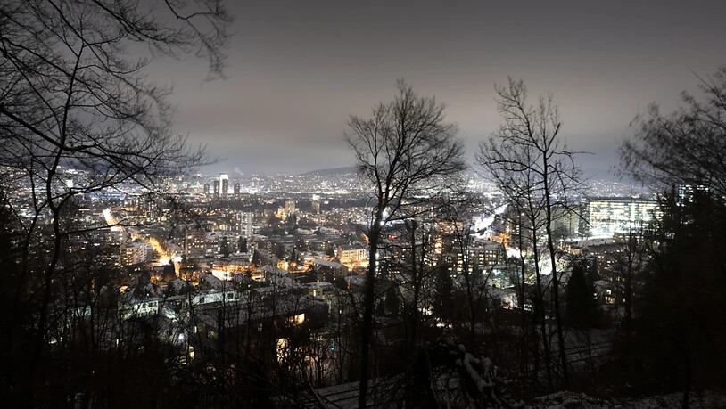 Nächtlich hell erleuchtete Städte (im Bild: Zürich) halten Kohlmeisen vom Brüten in ihren Nistkästen ab. (Themenbild)