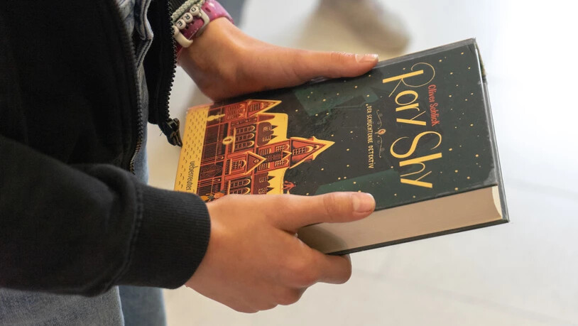 Linas Buchtipp an andere Jugendliche in ihrem Alter: Die Buchreihe «Rory Shy» oder «Mathe fürs Leben», ein Comic der mathematische Phänomene beschreibt.