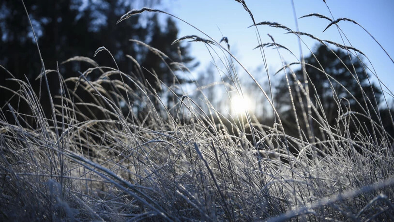 Wetterdienste erwarten im Flachland in den kommenden Tagen Maximaltemperaturen von null Grad. (Archivbild)