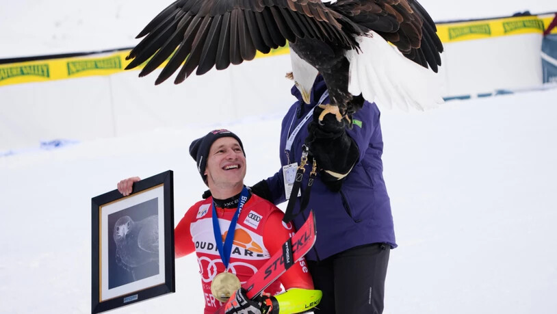 Der Weisskopfseeadler und der Schweizer Überflieger, der auf der Raubvogelpiste zweimal seine Krallen ausgefahren hat