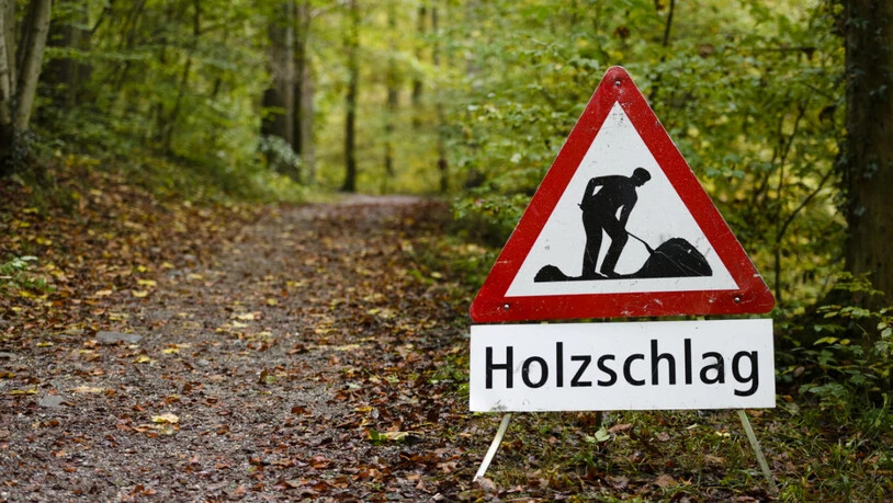 Laut der Beratungsstelle für Unfallverhütung in der Landwirtschaft wurden im letzten Jahr vier Personen tödlich von Stämmen oder Baumteilen erfasst oder getroffen. (Archivbild)