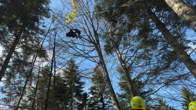 Grosses Glück gehabt: Nach der Kollision mit einem anderen Gleitschirm, der vom Zugerberg gestartet war, stürzte ein 47-jähriger Gleitschirmpilot am Karfreitagnachmittag ab und verfing sich auf 15 Metern Höhe in den Bäumen.