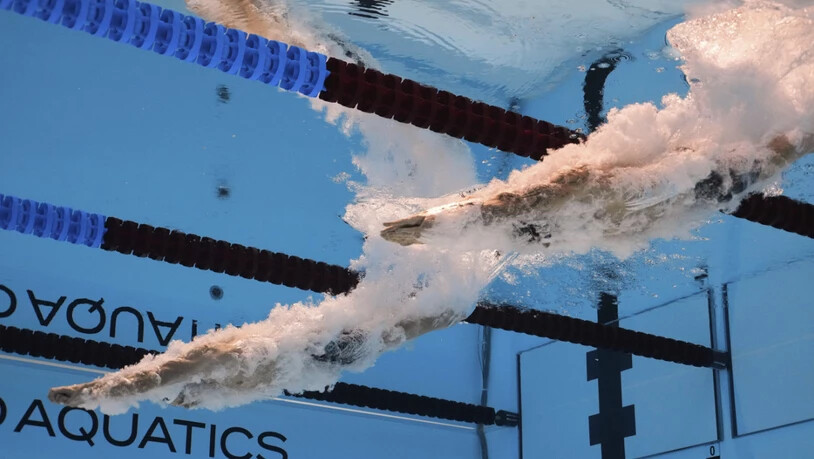 Russische Athleten dürfen ab sofort wieder ins Wettkampfgeschehen des Weltverbandes eingreifen