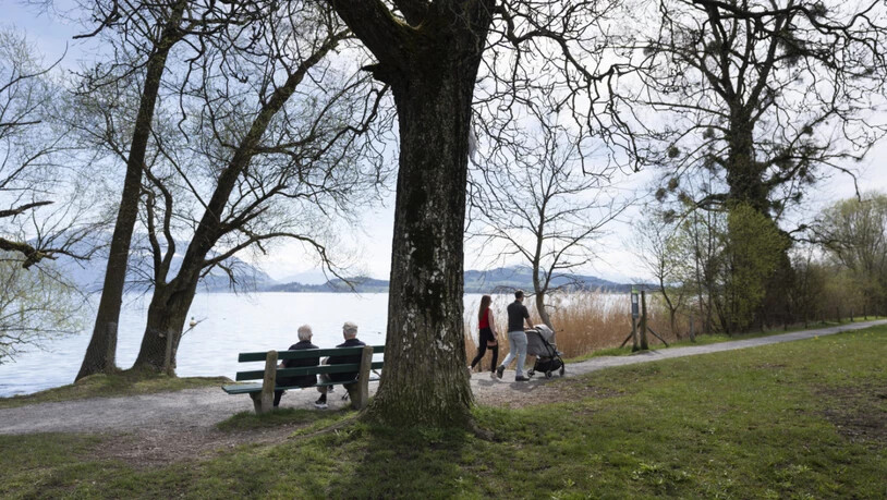 Alte Menschen sitzen auf einer Bank, während junge Menschen am Seeufer des Zugersees auf der Lorzenebene spazieren.