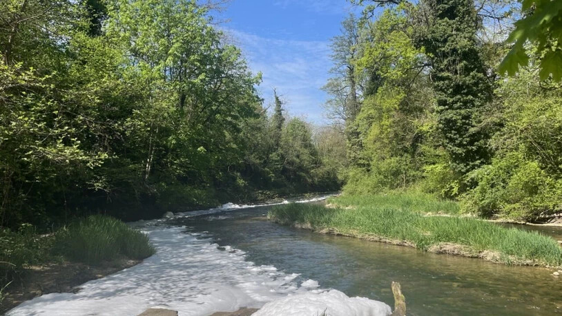 Die Ergolz war auf mehreren hundert Metern von einem weissen Schaum bedeckt.