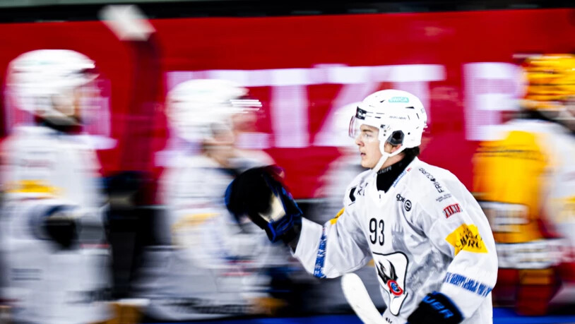 Gottéron und Torschütze Jan Dorthe, der den Führungstreffer erzielt, jubeln am Samstagabend in Davos