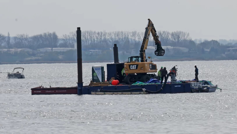 Ein Arbeitsponton mit einem speziellen Bagger und kleinere Begleitboote sind in der Nähe des gestrandeten Buckelwals vor der Insel Poel im Einsatz. Foto: Bernd Wüstneck/dpa