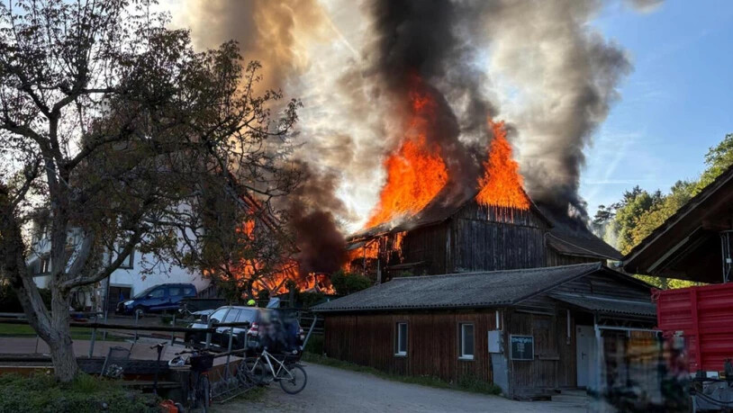 Beim Brand eines Reitstalls in Hombrechtikon ZH wurden zwei Personen schwer und acht Personen leicht verletzt. Tiere kamen keine zu Schaden.