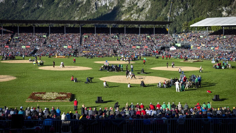 Am Sonntag beginnt für die Schwinger die Kranzfestsaison