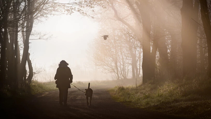 ARCHIV - Eine Spaziergängerin mit Hund. Foto: Patrick Pleul/dpa/Archivbild